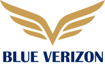 logo blue verizon [recovered]
